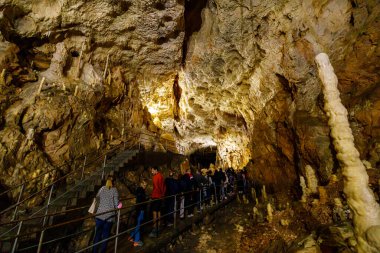 Romanya, Chiscau 'daki ayı mağarasındaki turistler 28 Ağustos 2021' de