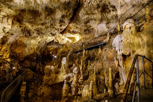 Bear Cave Pestera Ursilor Chiscau Romania — Stock Photo, Image