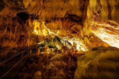 Romanya 'daki Ciscau' daki ayı mağarası ursilor.
