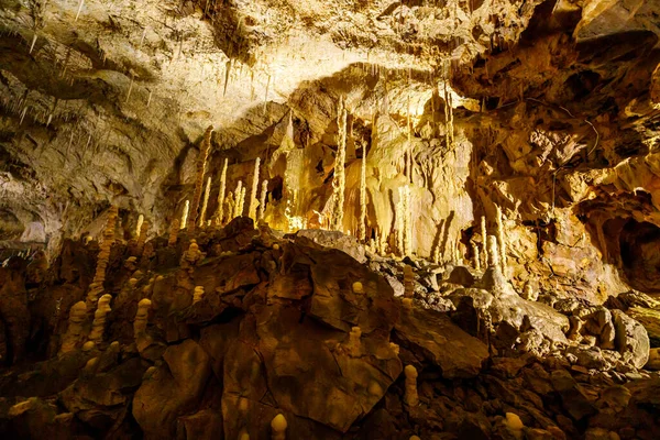 Bear Cave Pestera Ursilor Chiscau Romania — Stock Photo, Image