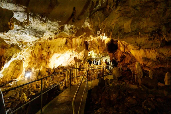 Cueva Del Oso Pestera Ursilor Chiscau Romania — Foto de Stock