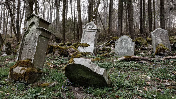 Vecchio Cimitero Ebraico Abbandonato Una Foresta Turingia — Foto Stock