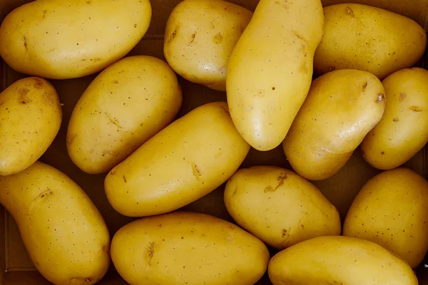 市場でのジャガイモの収穫 — ストック写真
