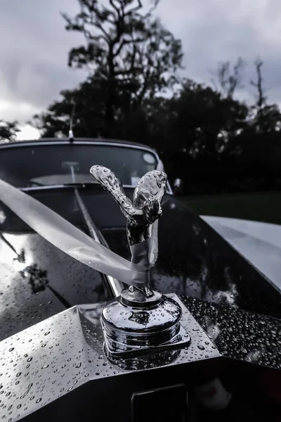 Killarney Irlandia 2021 Godło Rolls Royce Spirit Ecstasy Black White — Zdjęcie stockowe