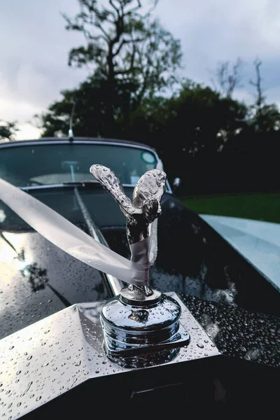 Killarney Irlande 2021 Emblème Rolls Royce Spirit Ecstasy Noir Blanc — Photo