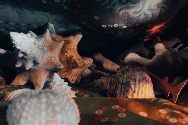 Sualtı dünyasının teması üzerine kompozisyon