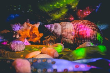 Sualtı dünyasının teması üzerine kompozisyon