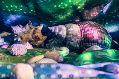 Sualtı dünyasının teması üzerine kompozisyon