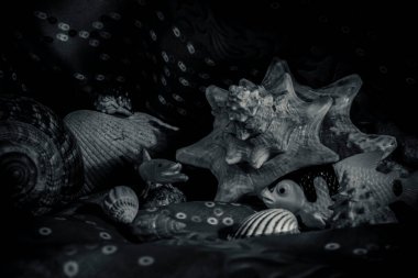 Doğru bileşimi seçmek, akvaryum suyunu temizleyecek.