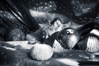 Sığ kıyı sularında renkli tropikal balıklar. Mercan resifinde yaşam, tavşan gibi. Su altı deniz dünyasının hayvanları. Ekosistem.