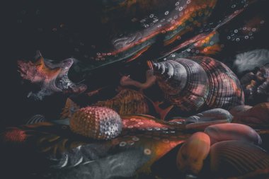 Sığ kıyı sularında renkli tropikal balıklar. Mercan resifinde yaşam, tavşan gibi. Su altı deniz dünyasının hayvanları. Ekosistem.