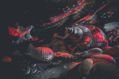 Sığ kıyı sularında renkli tropikal balıklar. Mercan resifinde yaşam, tavşan gibi. Su altı deniz dünyasının hayvanları. Ekosistem.