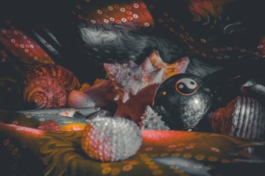 Sığ kıyı sularında renkli tropikal balıklar. Mercan resifinde yaşam, tavşan gibi. Su altı deniz dünyasının hayvanları. Ekosistem.