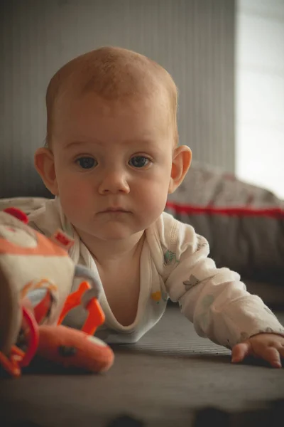 Överraskad Söt Bebis Och Tittar Betraktaren — Stockfoto