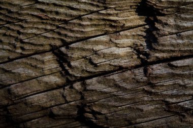 Doğal desenli ahşap doku.