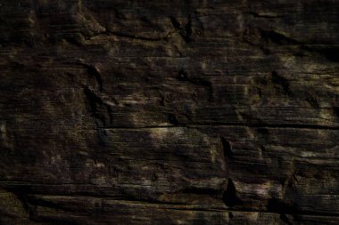 Doğal desenli ahşap doku.