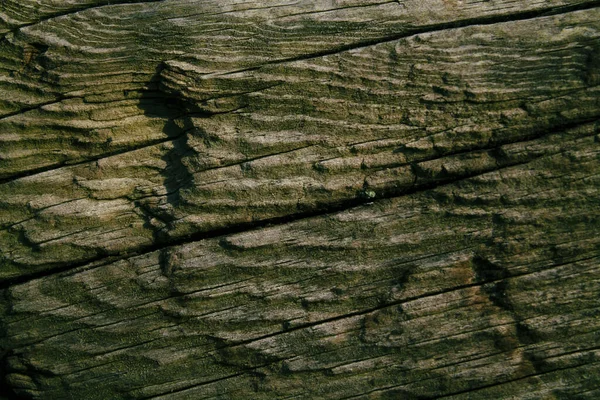 Wood Texture Natural Pattern — Stock Photo, Image