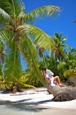 seven çift bir tropikal plaj