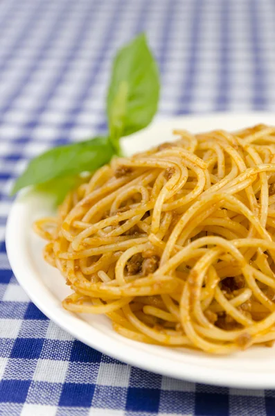 spagetti salamı.