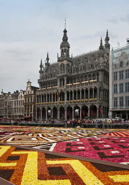 Brussel bloem tapijt — Stockfoto