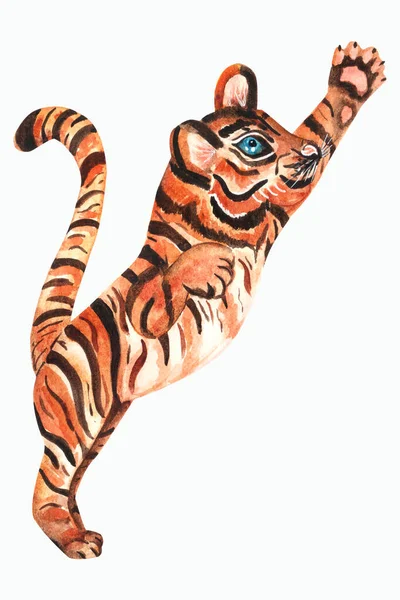 Watercolor Hand Drawn Baby Tiger Big Blue Eyes — Foto Stock