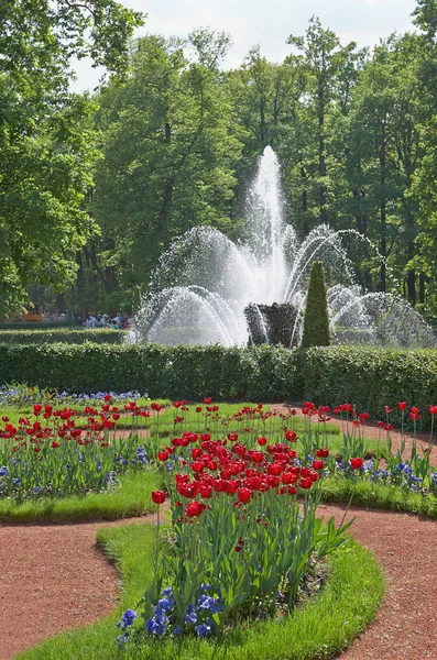 Brunnen vom Peterhof — Stockfoto