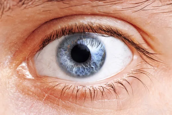 Man Eyes — Stock Photo, Image