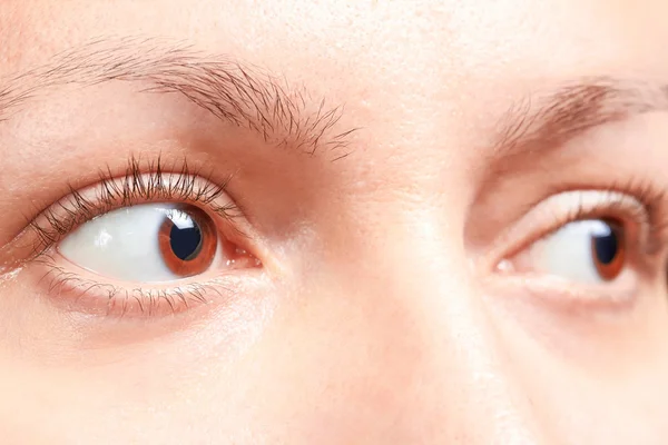 Ojos marrones — Foto de Stock