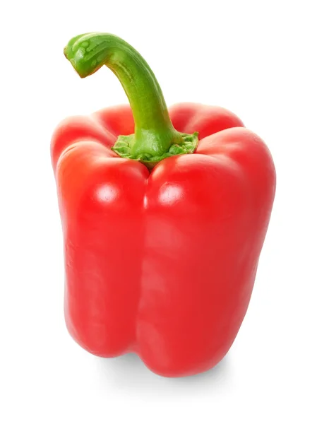 Stor röd paprika — Stockfoto