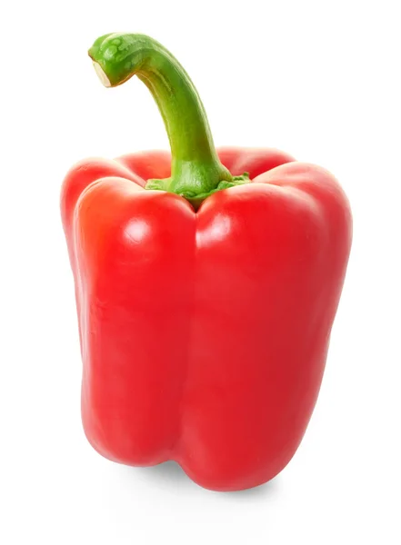 Large red pepper — Stock Photo, Image