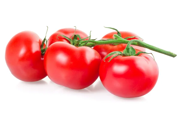 Red tomatoes — Stock Photo, Image