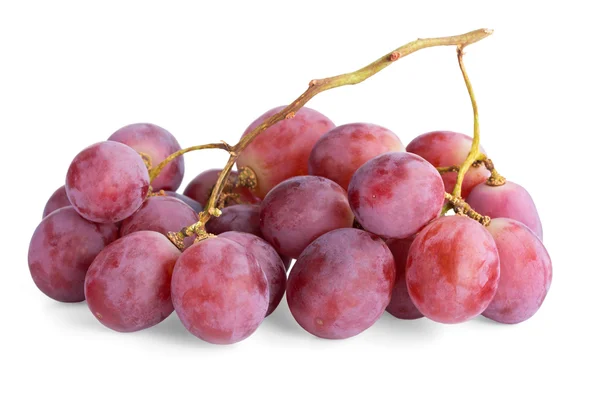 Grapes — Stock Photo, Image