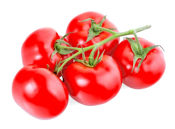 Tomates vermelhos — Fotografia de Stock