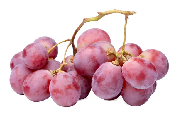 Uvas — Fotografia de Stock