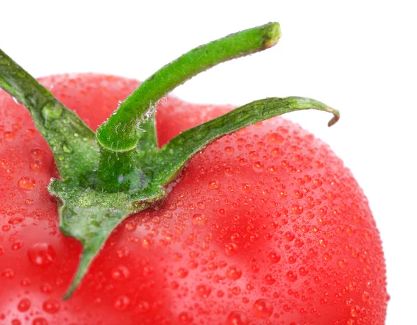 Tomates rojos — Foto de Stock