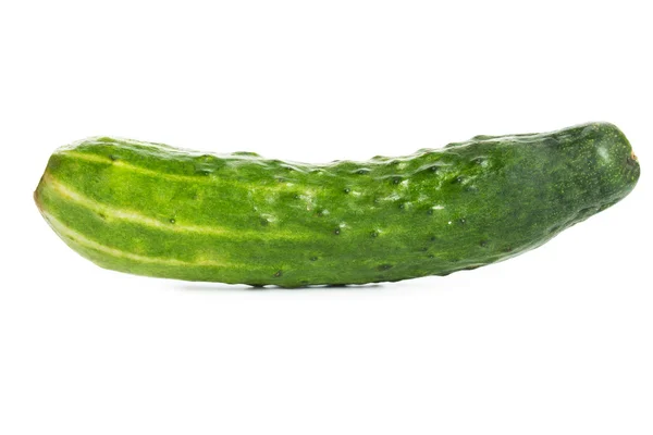 Cucumber — Stock Photo, Image