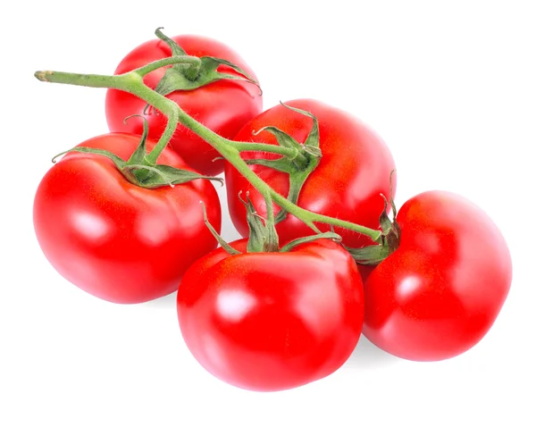 Tomates vermelhos — Fotografia de Stock