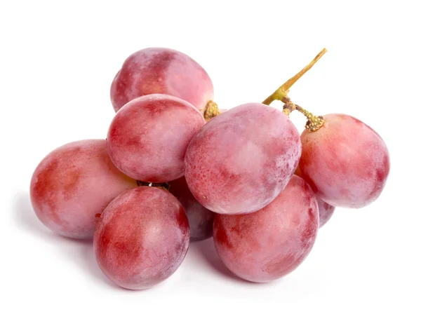 Grapes — Stock Photo, Image