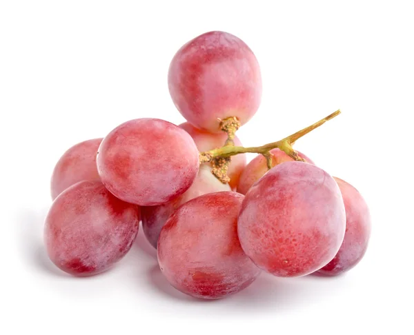 Grapes — Stock Photo, Image