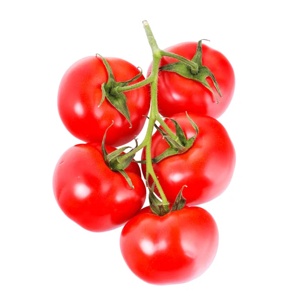 Red tomatoes — Stock Photo, Image