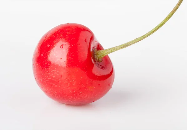 Één cherry geïsoleerd — Stockfoto