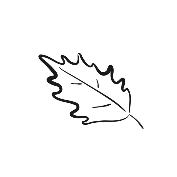 Image Feuille Dessinée Main Illustration Botanique Contour Élément Floral Vectoriel — Image vectorielle