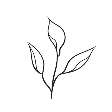 Yapraklı dal. El çizimi çiçek çizimi. tebrik kartı ve davet tasarımı için vektör botanik ögesi