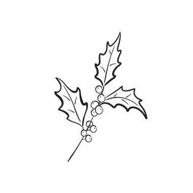 Böğürtlenli kış dalı. Noel tebrik kartı ve davetiye tasarımı için el çizimi vektör çiçek ögesi