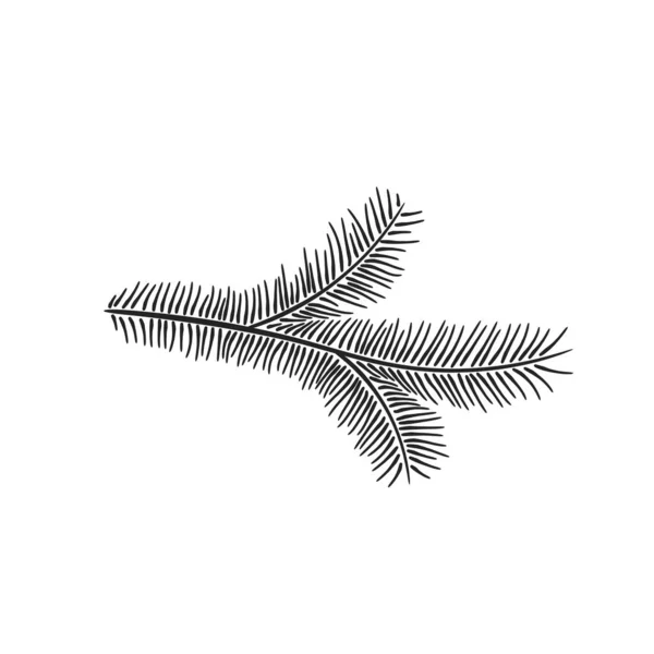 Branche Pin Illustration Florale Dessinée Main Élément Vectoriel Pour Noël — Image vectorielle