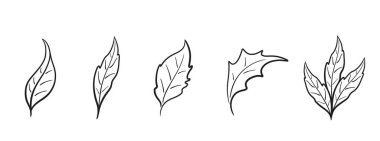 El yapımı yaprak seti. Yarım yamalak botanik çizimler. Kutlama kartları ve davet tasarımı için vektör çiçek ögeleri