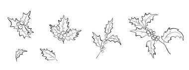 El yapımı Noel Holly şubesi seti. Lex yaprağı ve böğürtlenli dal. Yılbaşı ve yeni yıl tebrik kartları için vektör çiçek ögesi