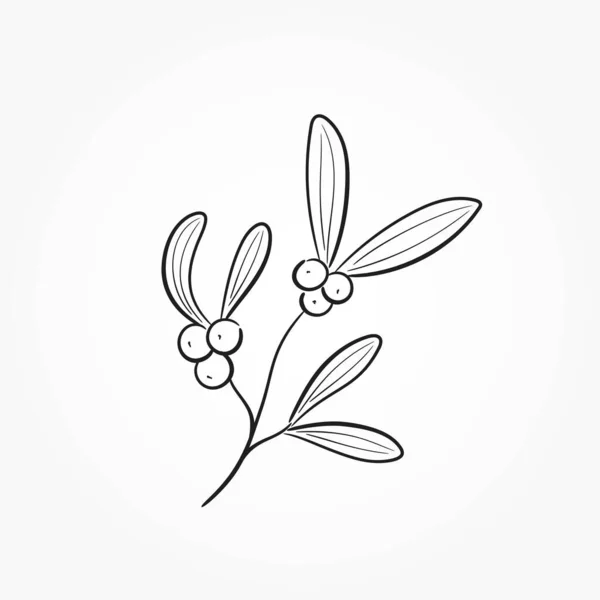 Visco Desenhado Mão Elemento Vetorial Floral Esboçado Para Cartão Felicitações —  Vetores de Stock