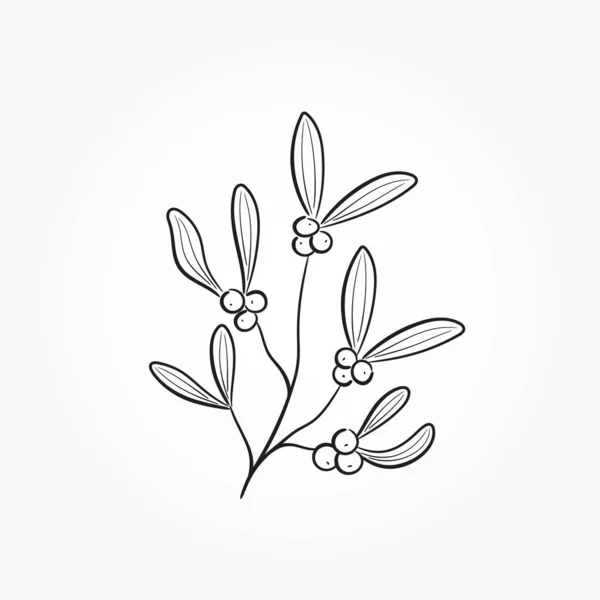 Ilustração Visco Esboçado Elemento Floral Desenhado Mão Para Natal Design —  Vetores de Stock