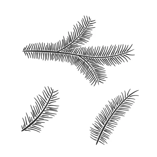 Ensemble Branches Pin Dessinées Main Éléments Floraux Vectoriels Pour Noël — Image vectorielle